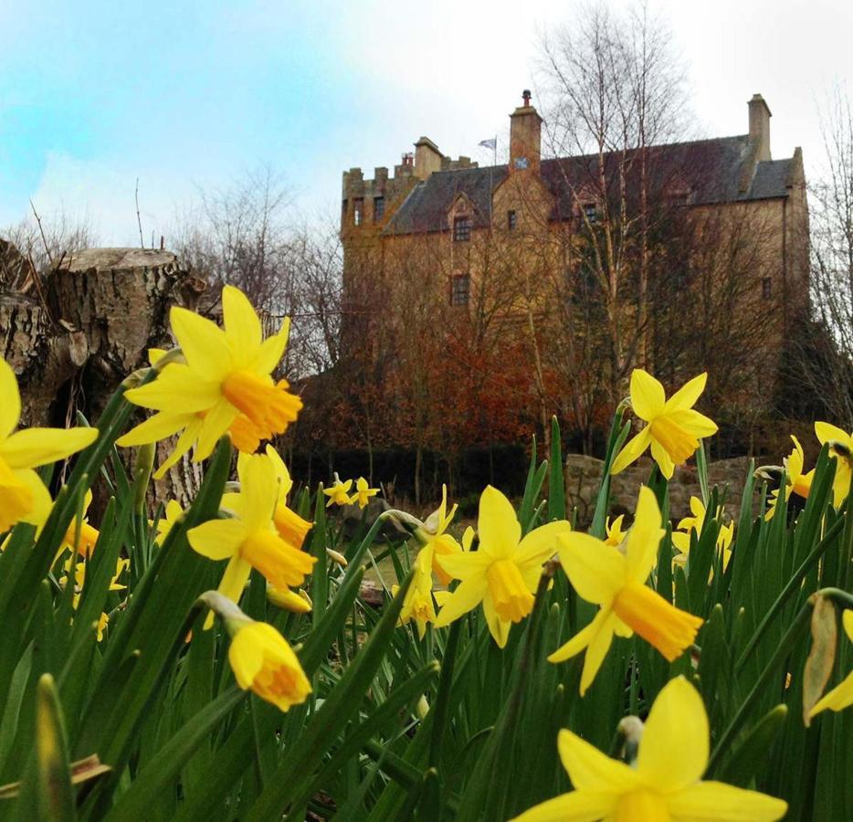The Manor At Plane Castle Villa Falkirk Dış mekan fotoğraf